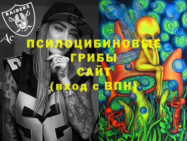 прущий лед Михайловск