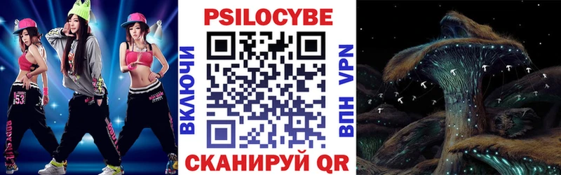 Псилоцибиновые грибы Psilocybine cubensis Нефтегорск